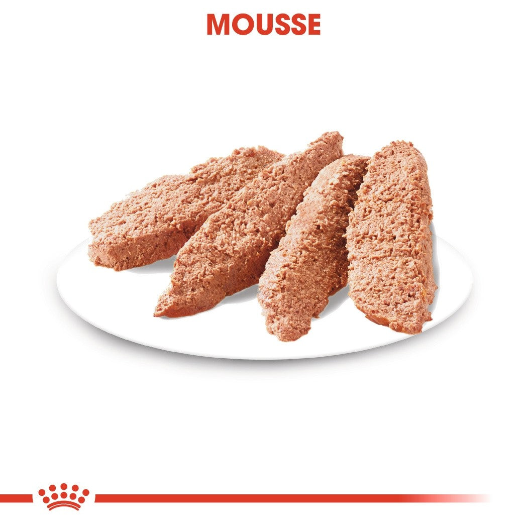 Royal Canin Dermacomfort - Pâtée pour chien