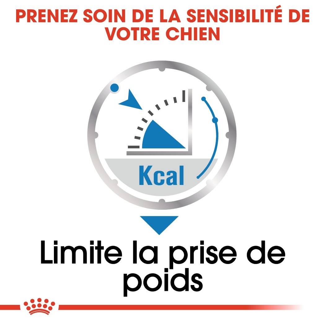 Royal Canin Light Weight Care - Pâtée pour chien