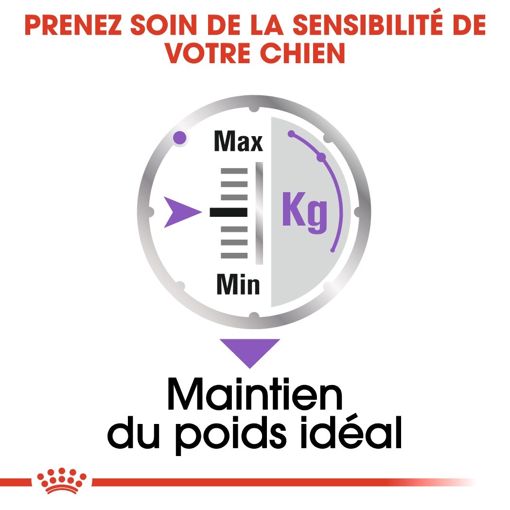 Royal Canin Sterilised - Pâtée pour chien