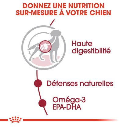 ROYAL CANIN Medium Adult en Sauce - Pâtée pour chien