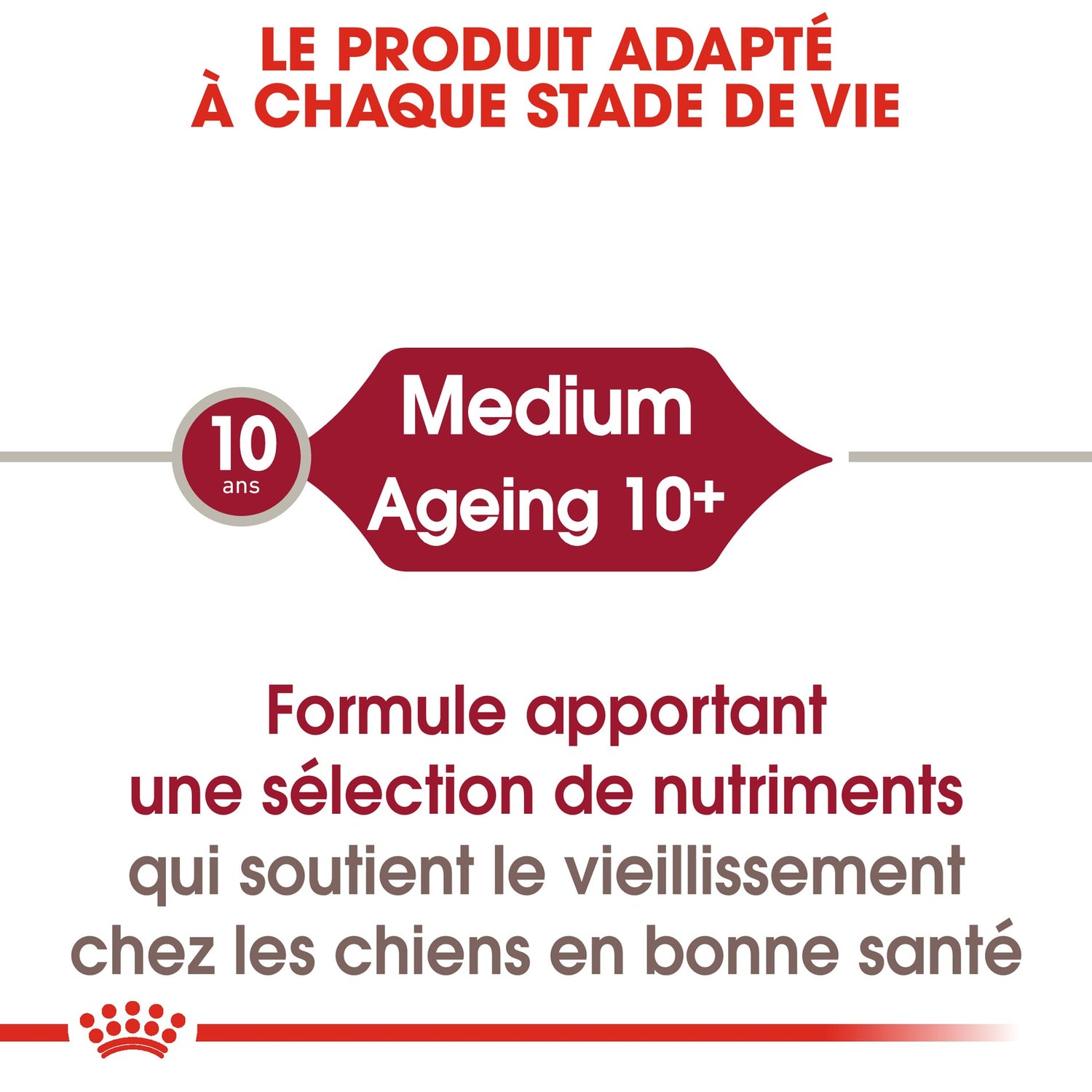 ROYAL CANIN Medium Ageing 10+ en Sauce - Pâtée pour chien