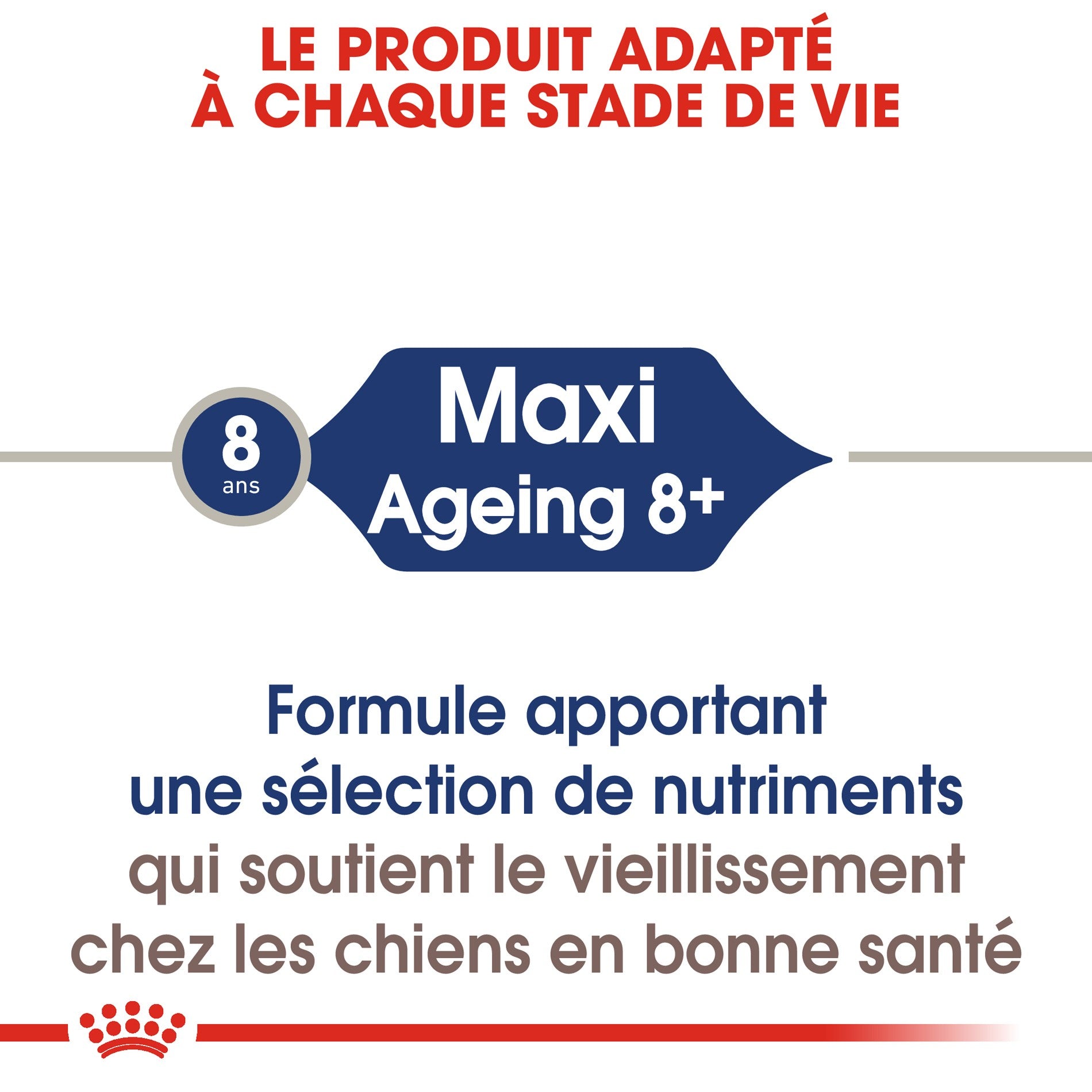 ROYAL CANIN Maxi Ageing 8+ en Sauce – Pâtée pour chien