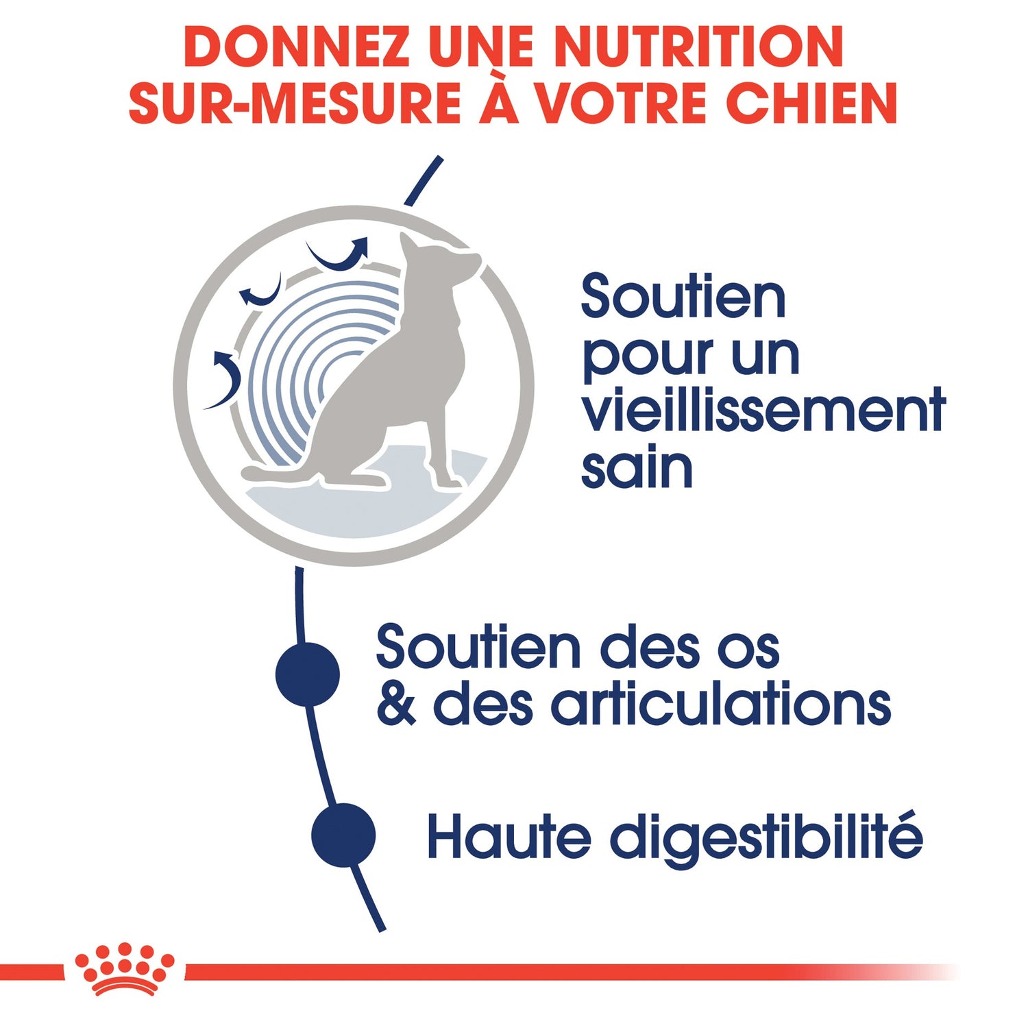 ROYAL CANIN Maxi Ageing 8+ en Sauce – Pâtée pour chien