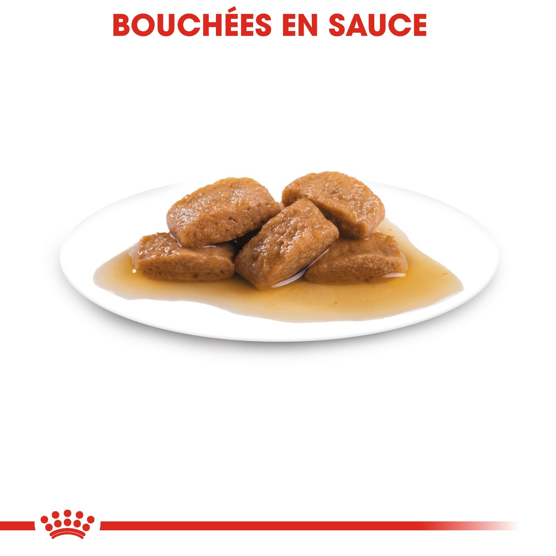 ROYAL CANIN Maxi Ageing 8+ en Sauce – Pâtée pour chien