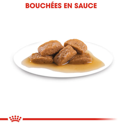 ROYAL CANIN Maxi Ageing 8+ en Sauce – Pâtée pour chien