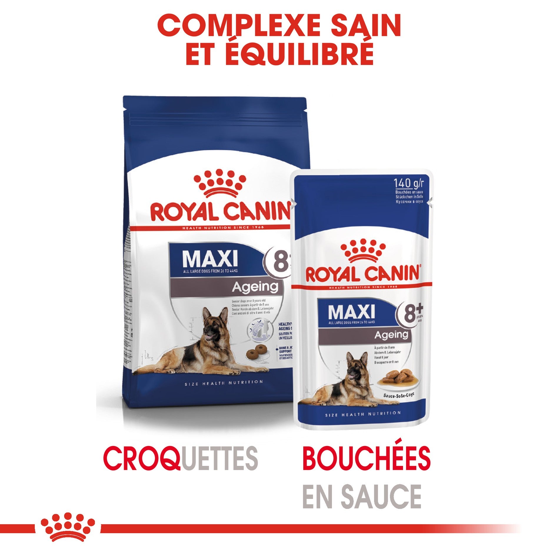 ROYAL CANIN Maxi Ageing 8+ en Sauce – Pâtée pour chien