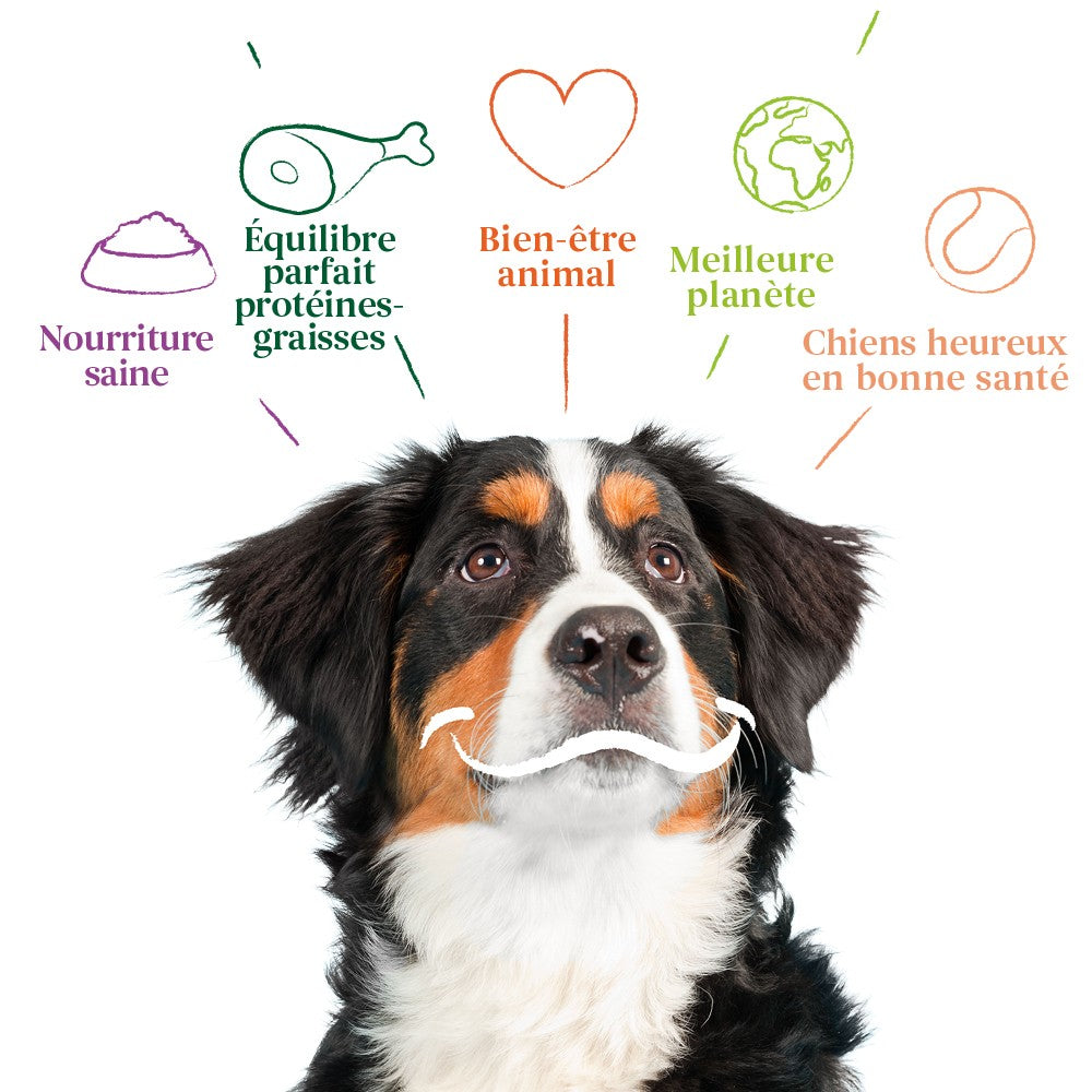 Yarrah croquettes bio pour chien adulte