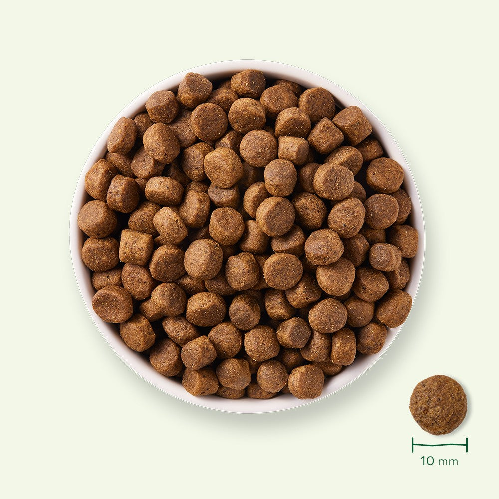 Yarrah croquettes bio sans céréales pour chien adulte