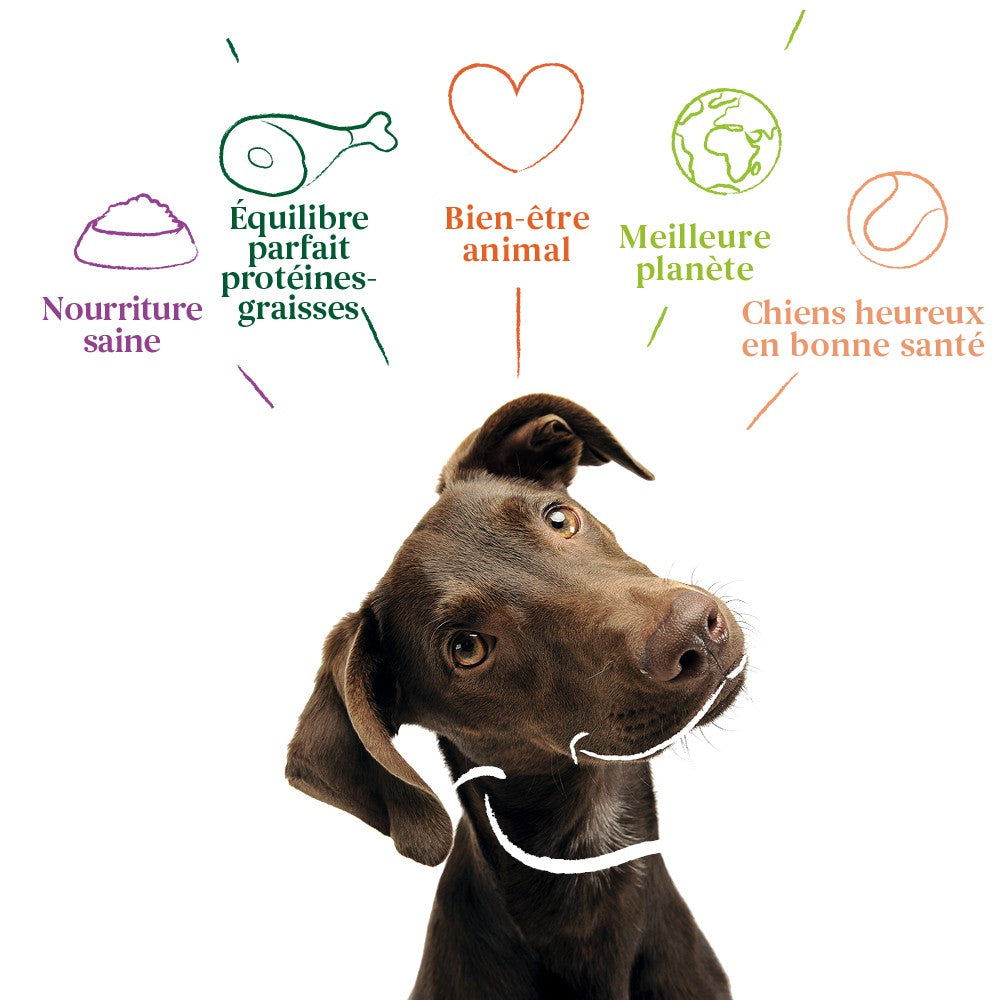 Yarrah croquettes bio sans céréales pour chien adulte