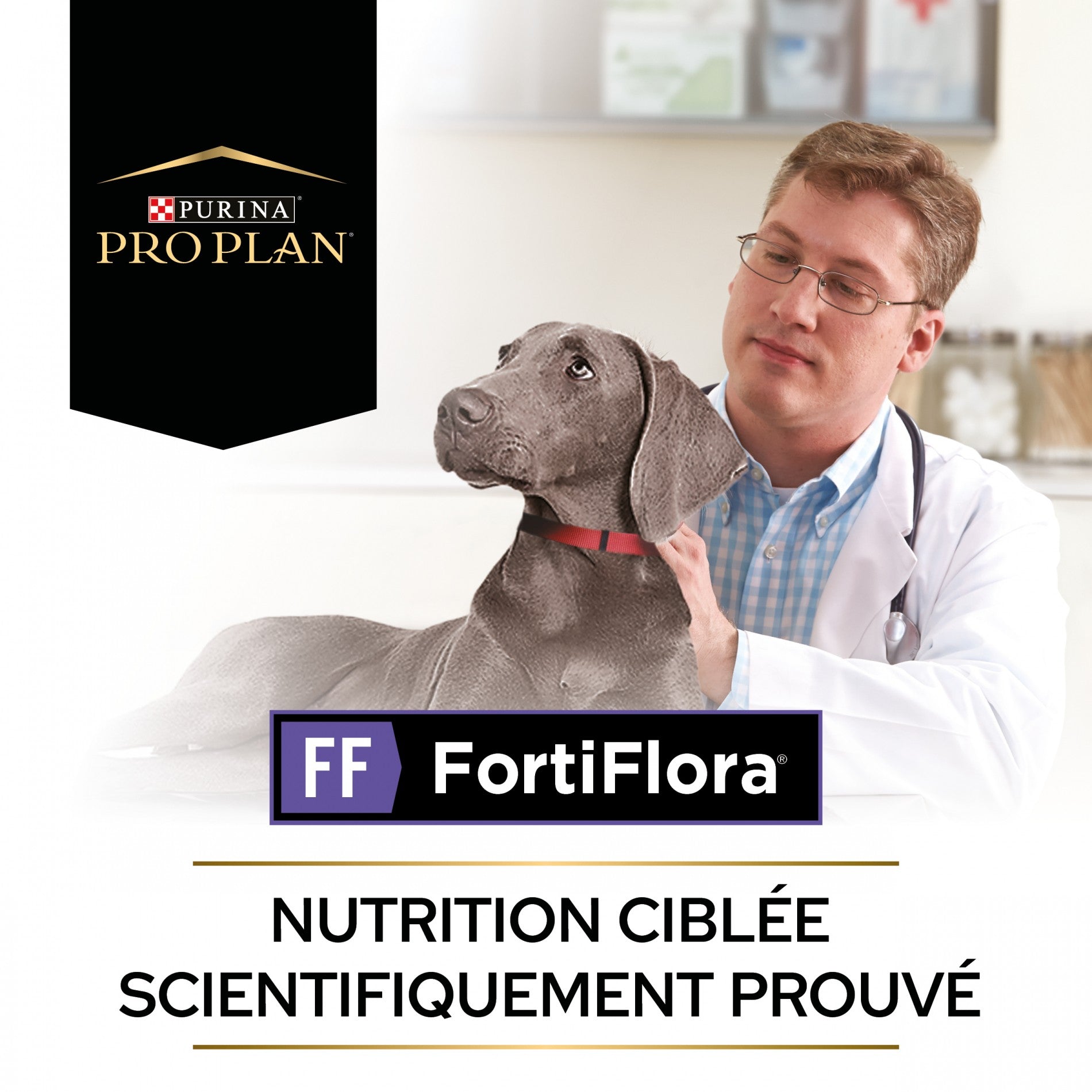 Pro Plan FortiFlora en Bouchées - Probiotiques pour chien