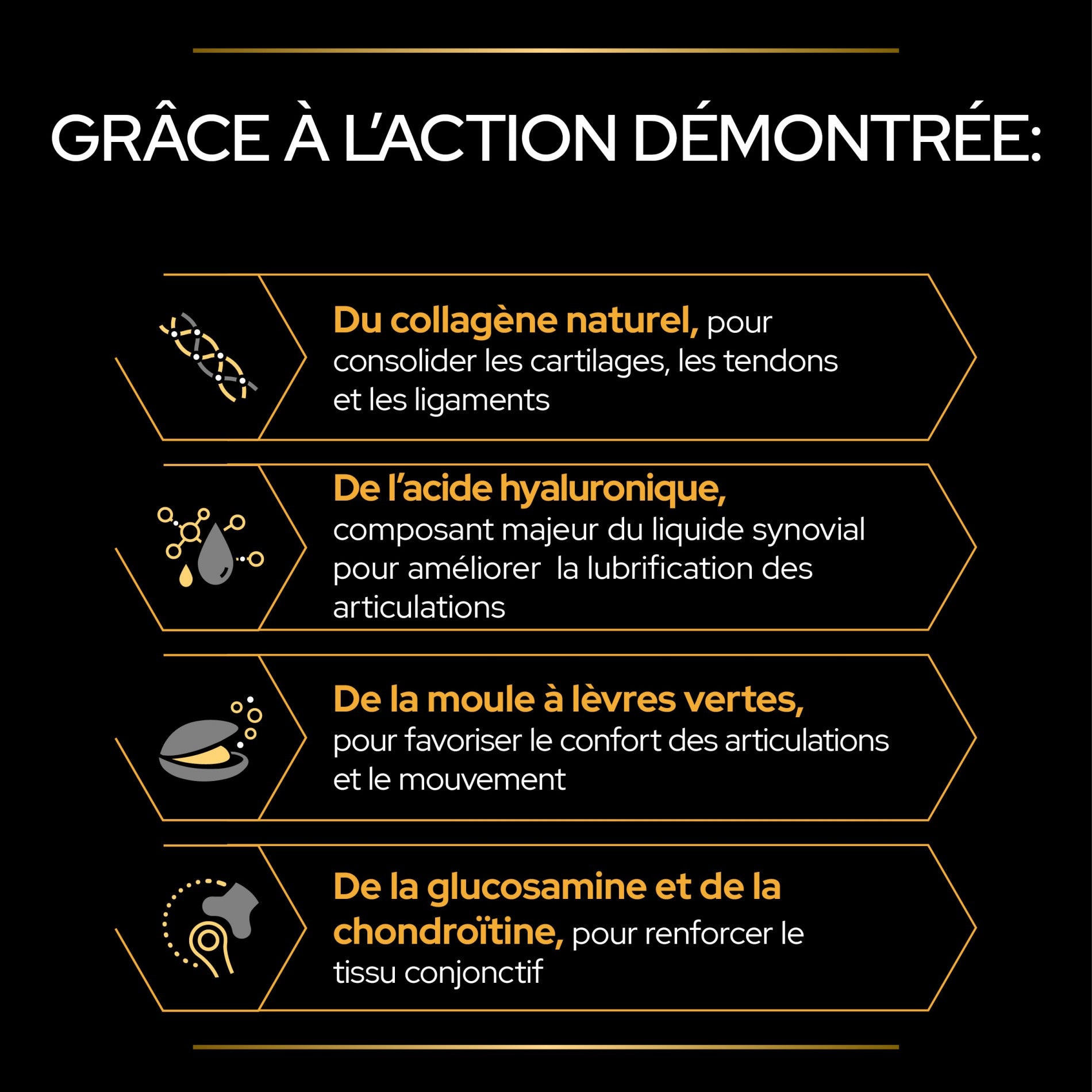 PRO PLAN Mobility+ en poudre - Aliment complémentaire pour chien
