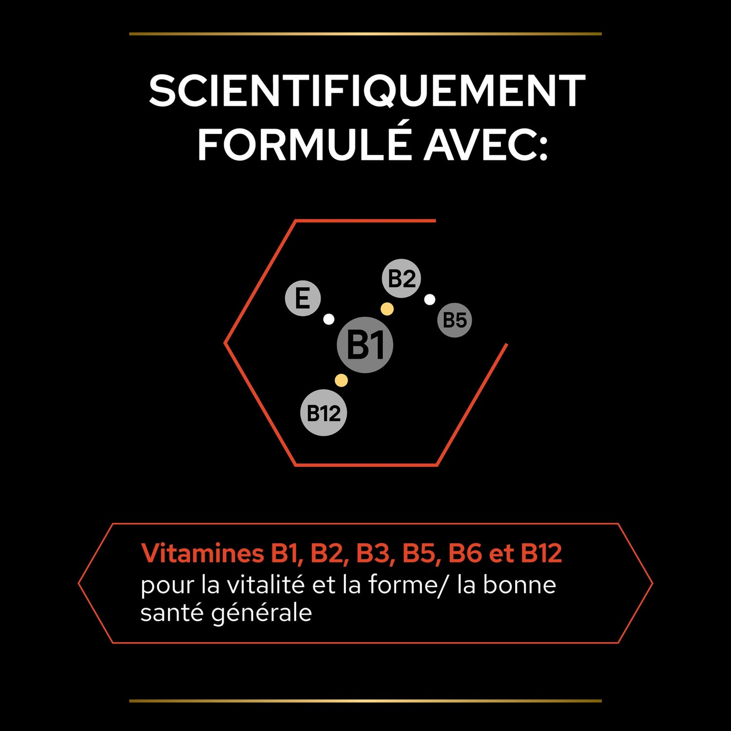 PRO PLAN Multi Vitamins+ en comprimés - Aliment complémentaire pour chien