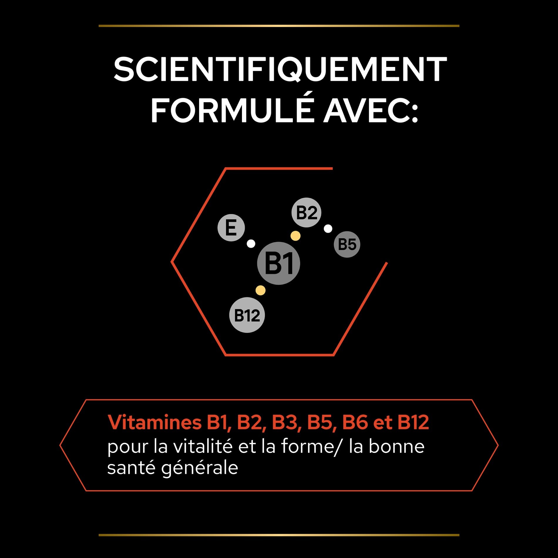 PRO PLAN Multi Vitamins+ en comprimés - Aliment complémentaire pour chien