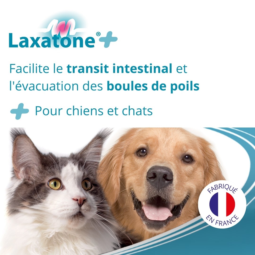 Laxatone Plus