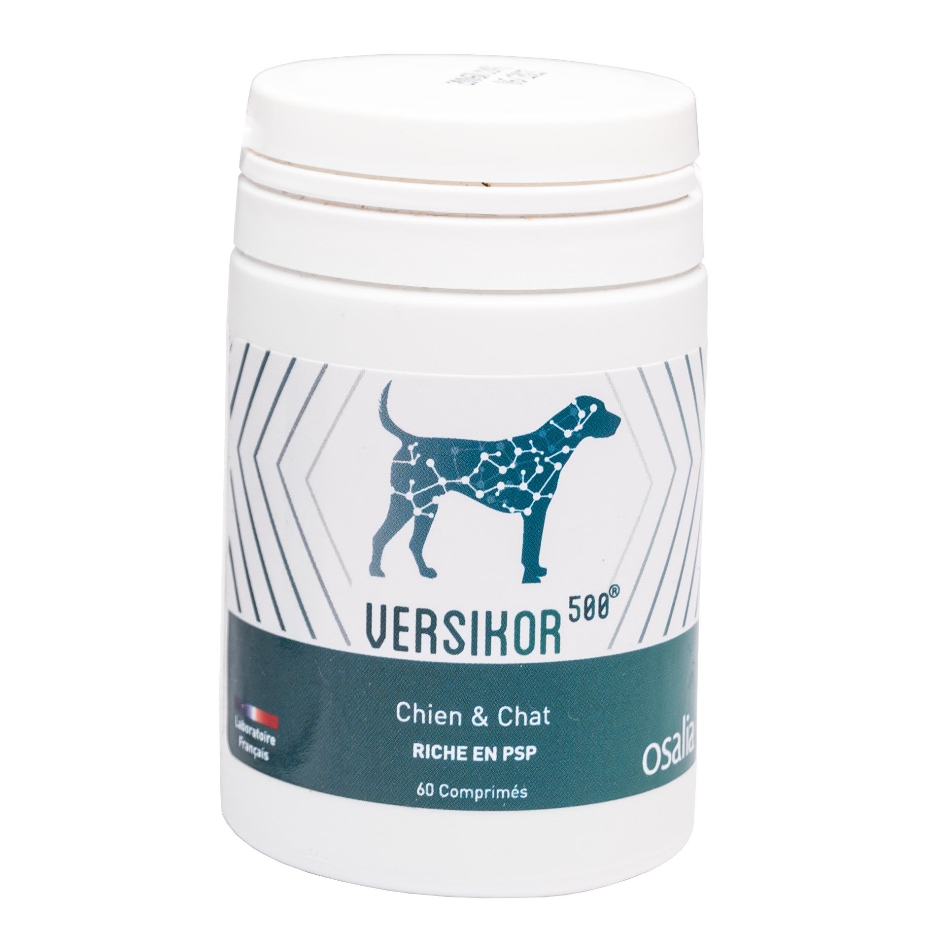 Versikor 500®