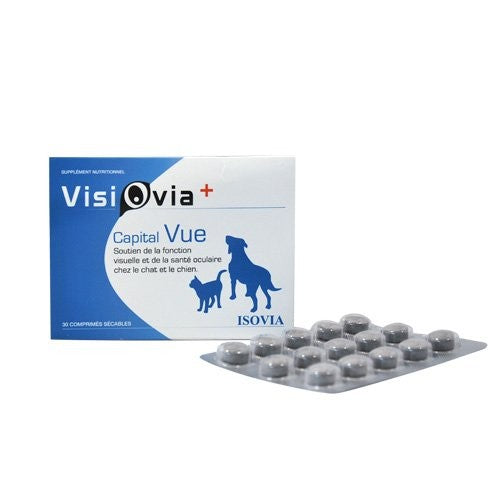Visiovia + capital vue