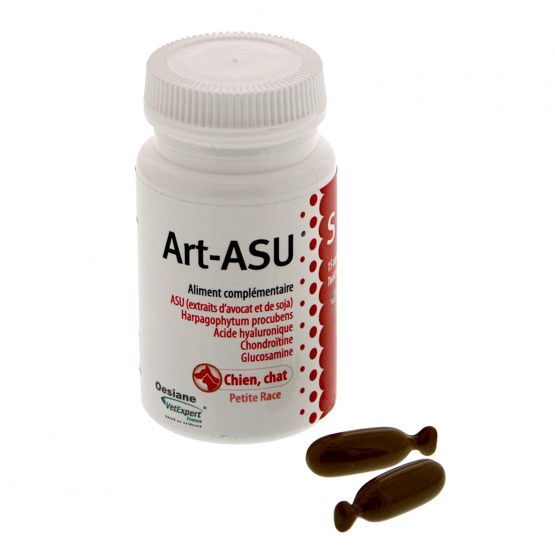 Art-ASU