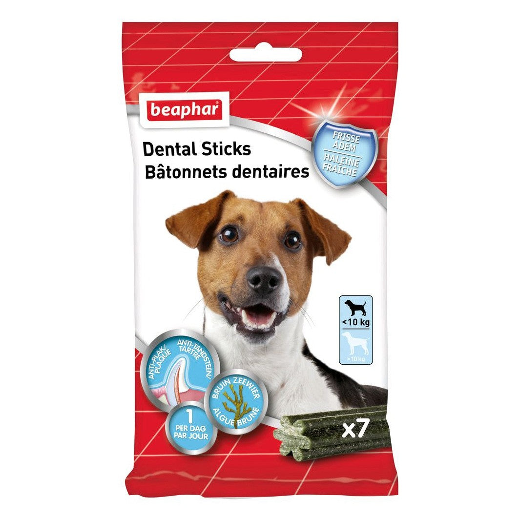Dental Sticks