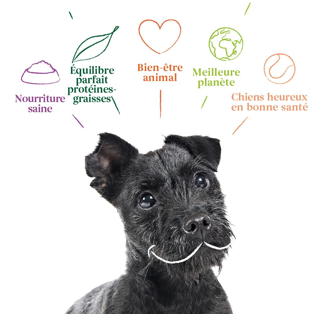 Yarrah biscuits bio végétarien pour petit chien