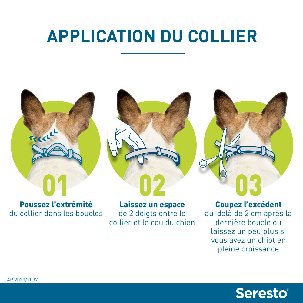 Collier antiparasitaire Seresto chien