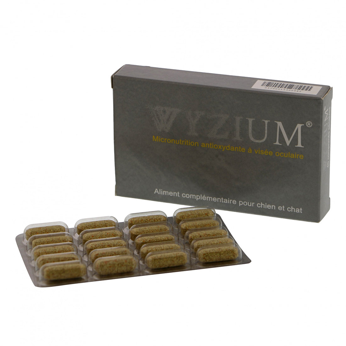 Wyzium