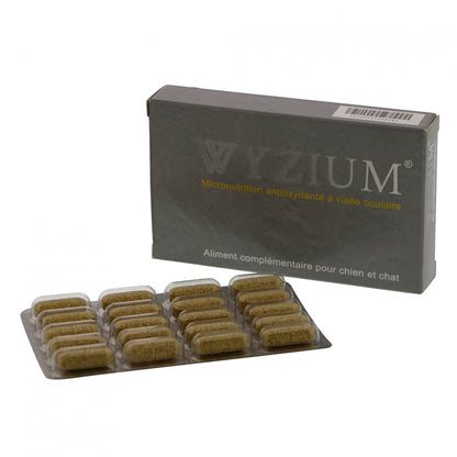 Wyzium