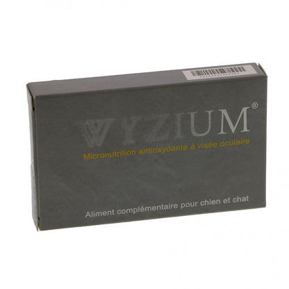 Wyzium