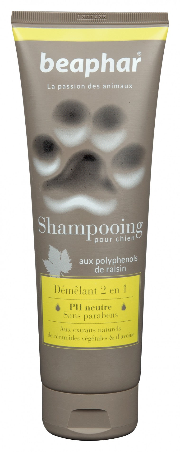 Shampooing Démêlant 2 en 1