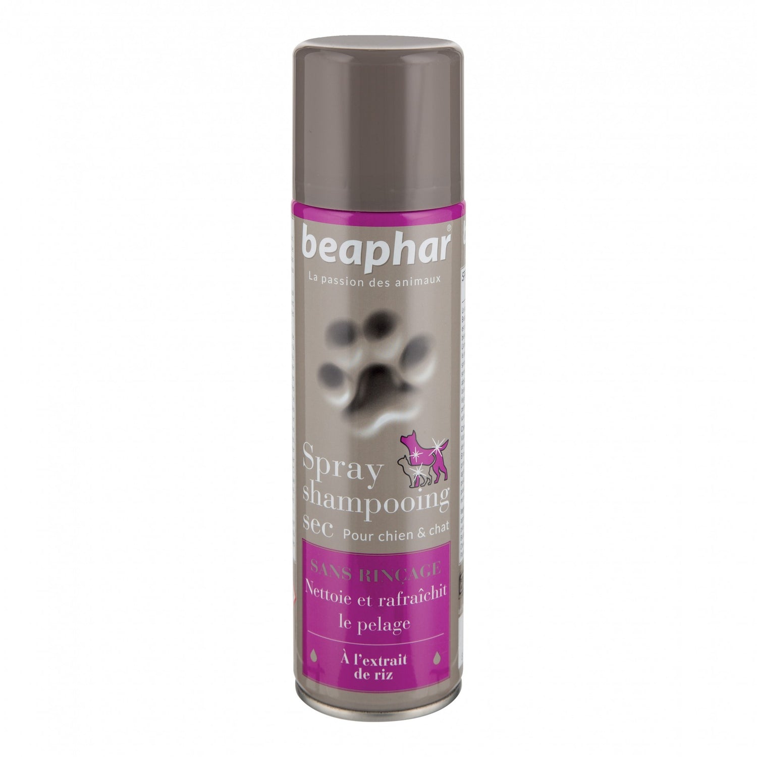 Spray Shampooing sec