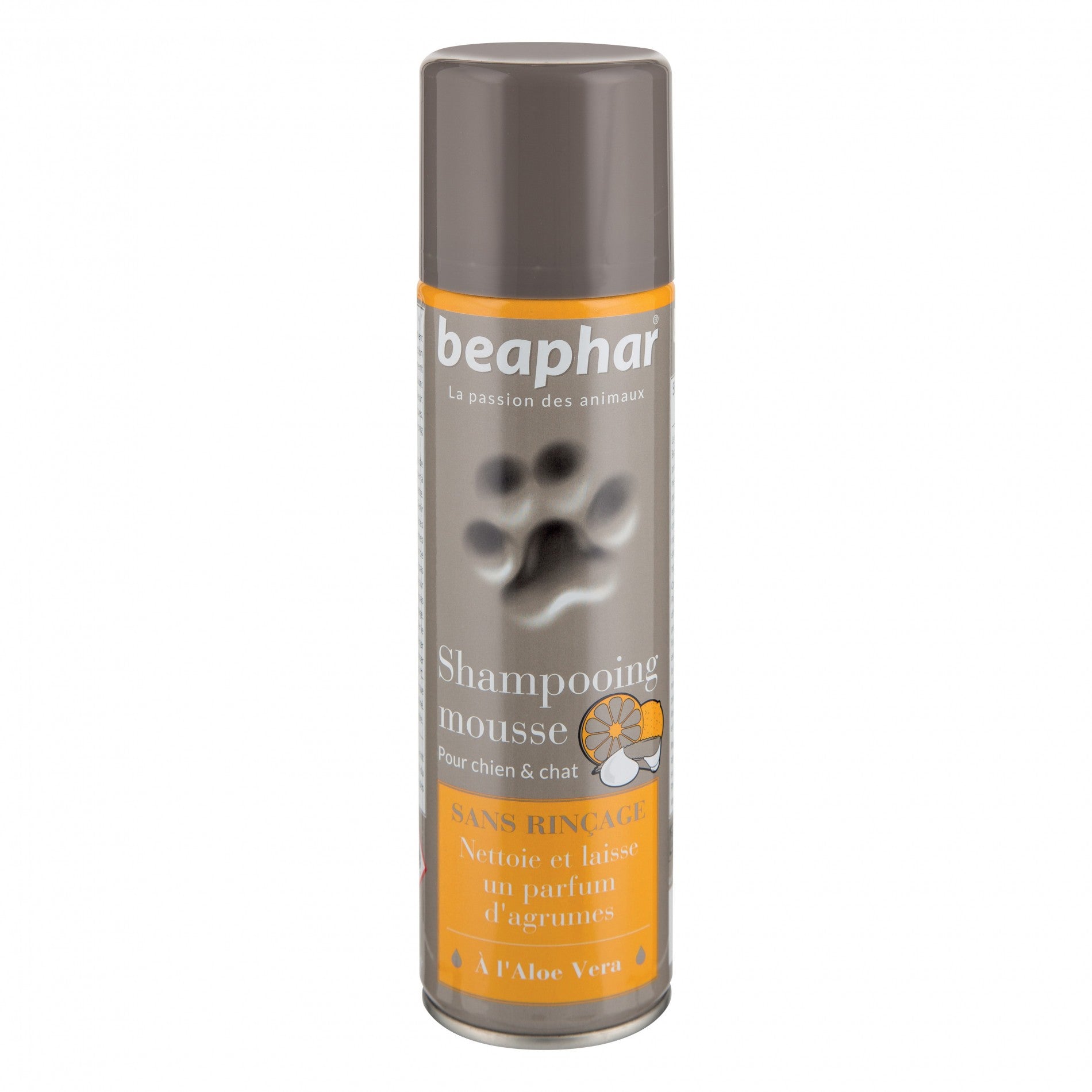 Shampooing mousse
