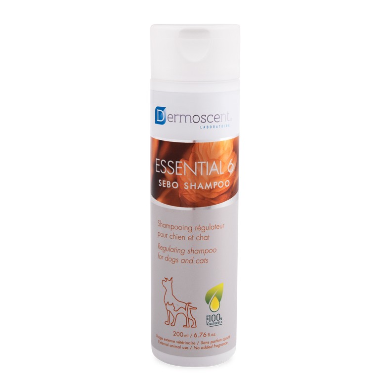 Essential 6 Sebo Shampoo