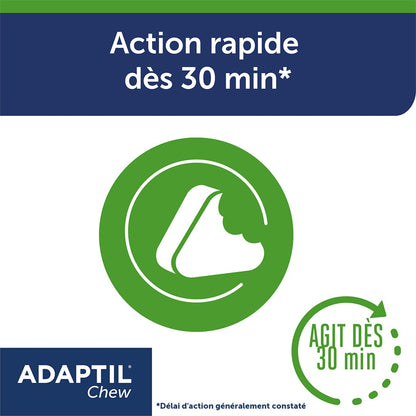 ADAPTIL® Chew