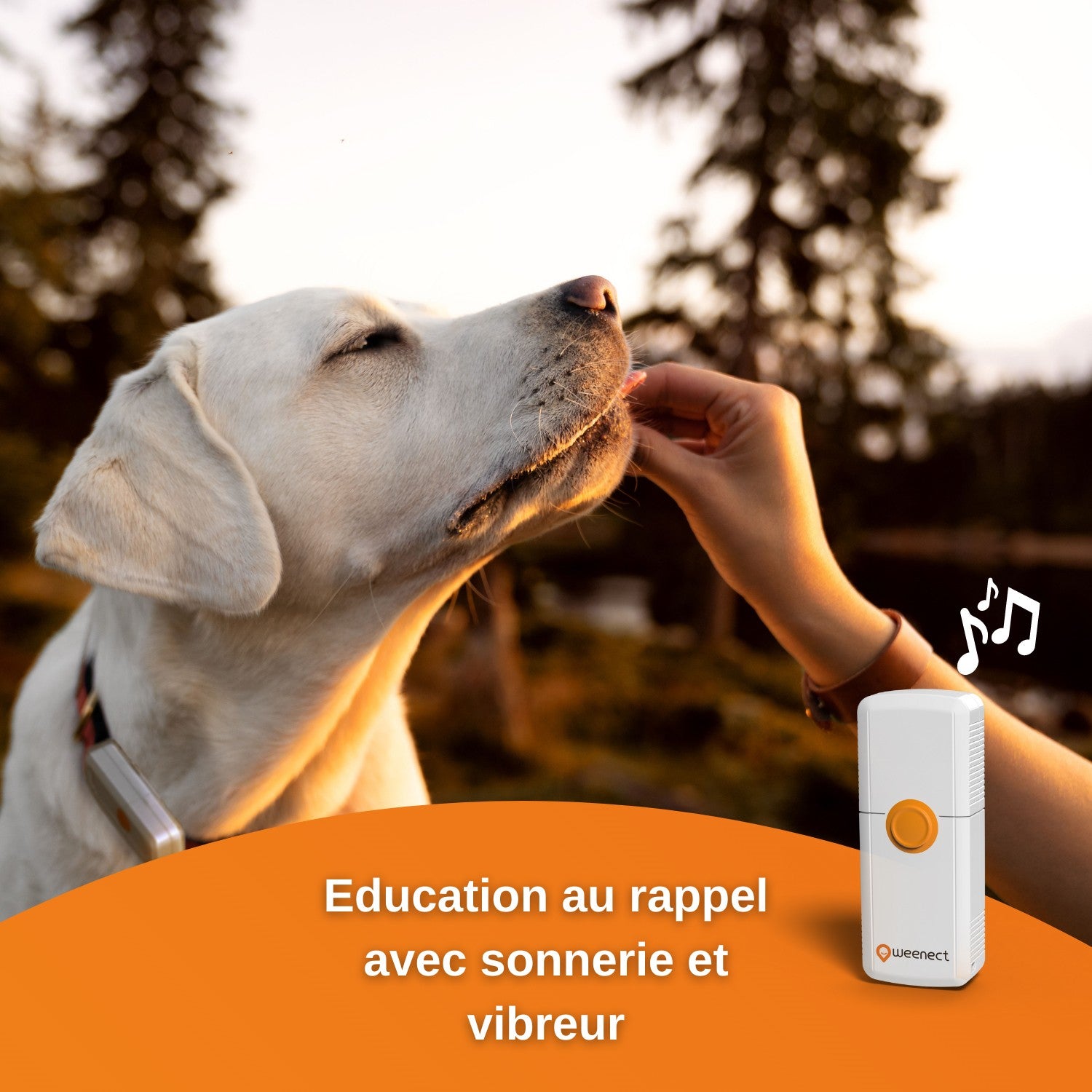 Traceur GPS Dogs 2 en temps réel