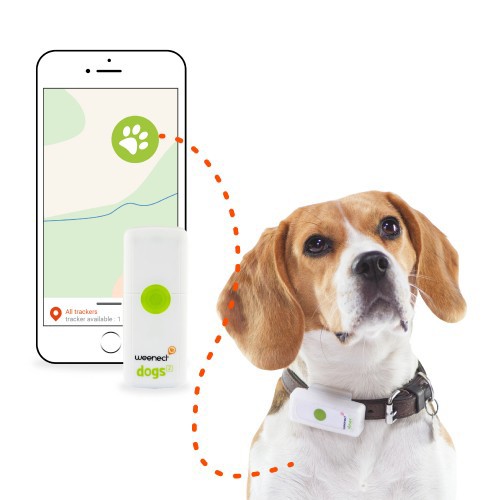 Traceur GPS Dogs 2 en temps réel
