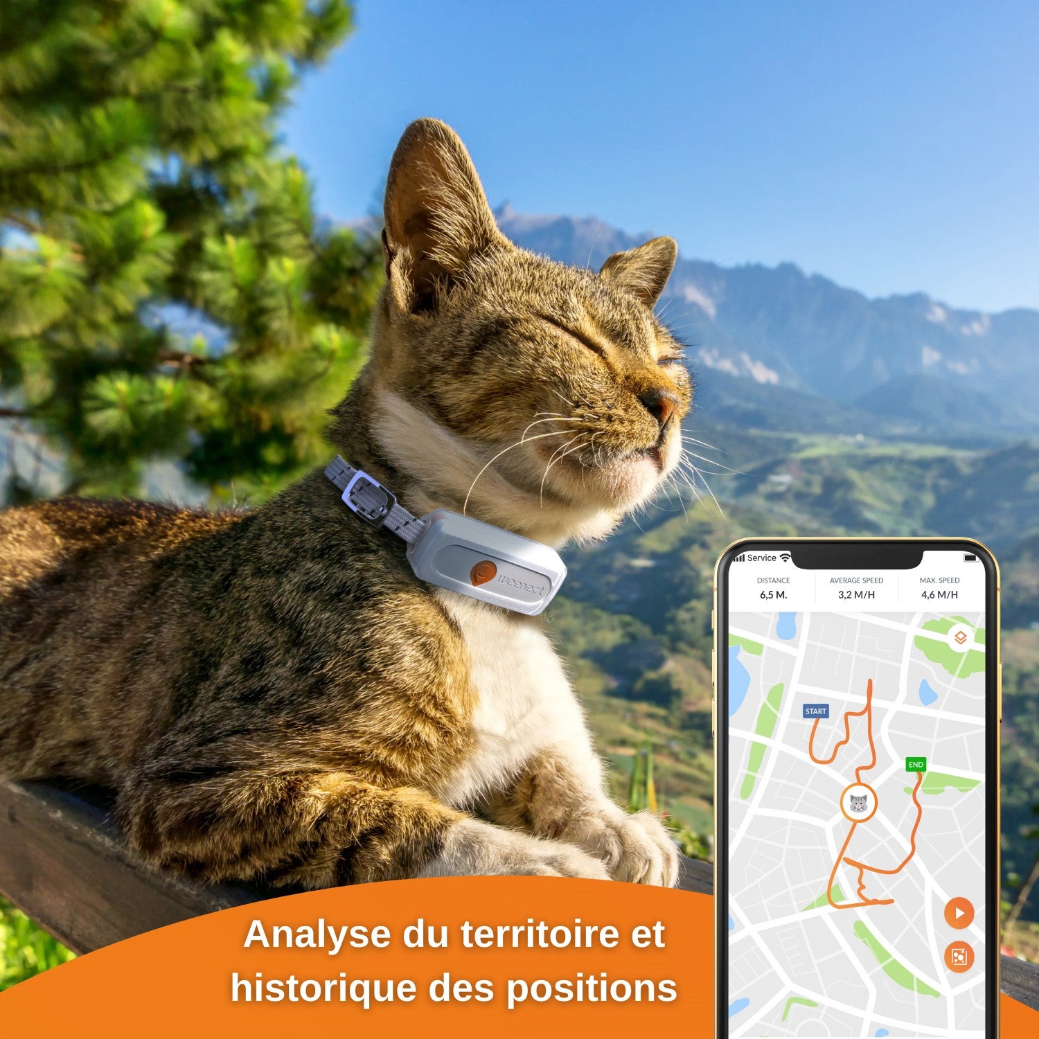 Collier GPS Wennect XS Cats - Blanc