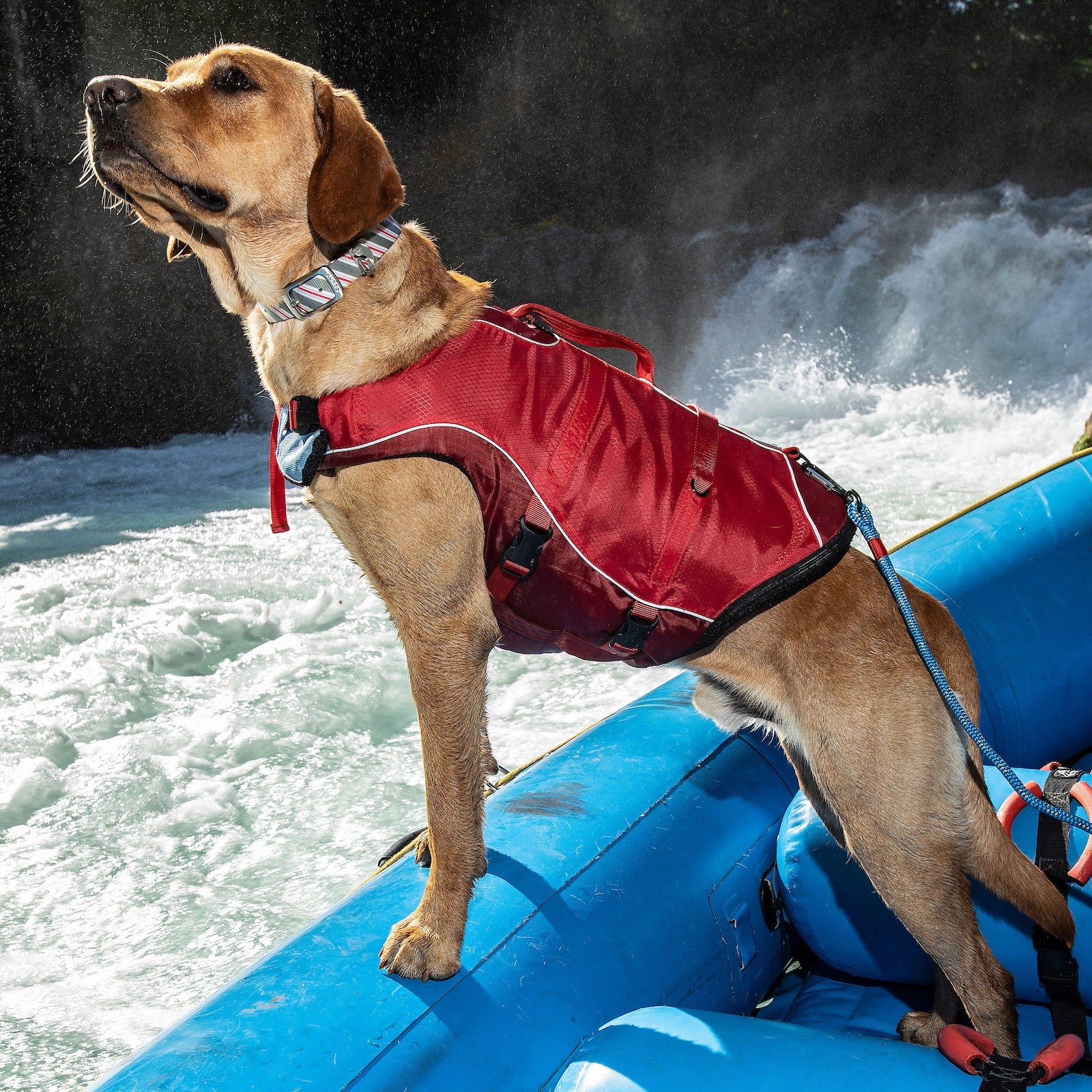 Gilet de flottaison Surf N Turf