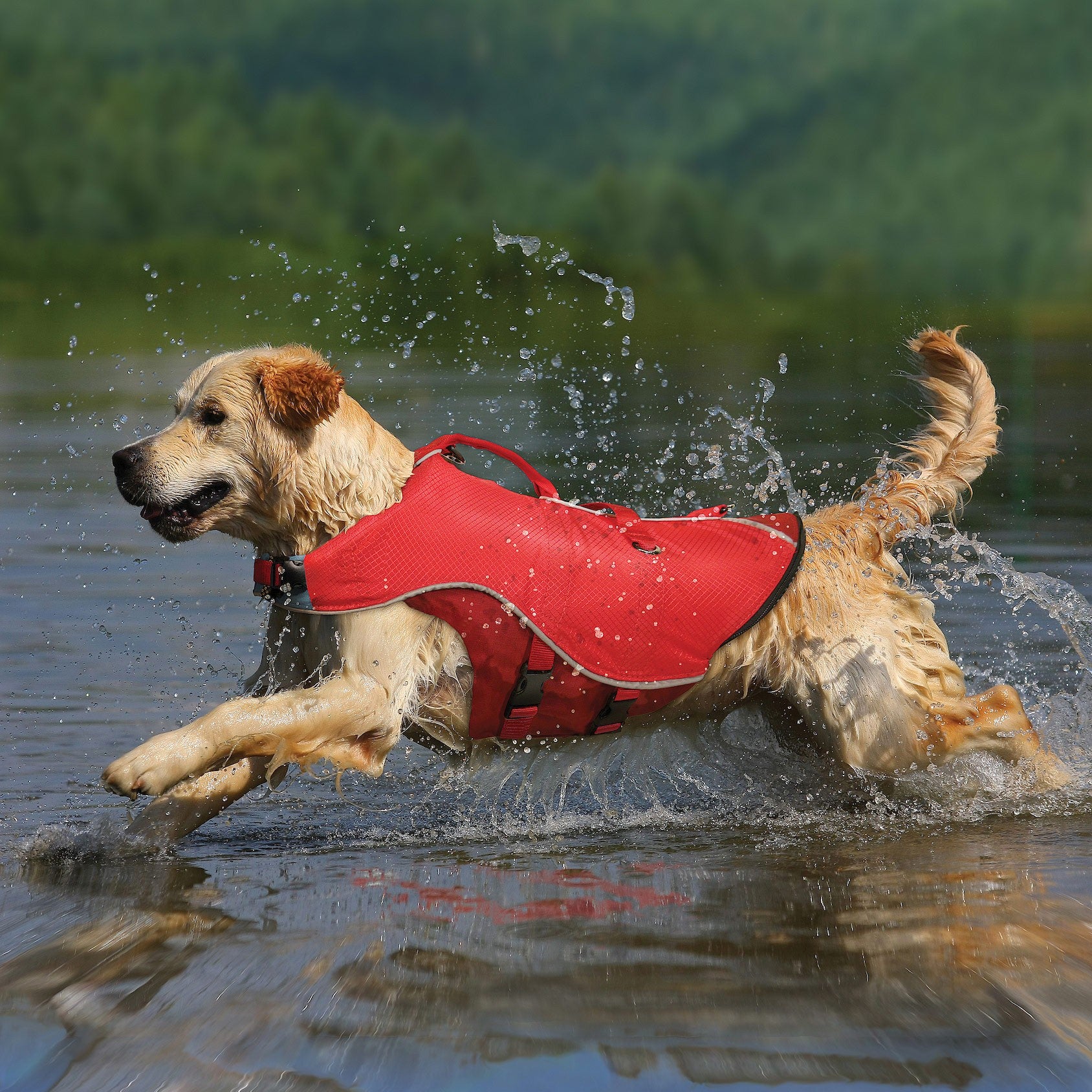 Gilet de flottaison Surf N Turf