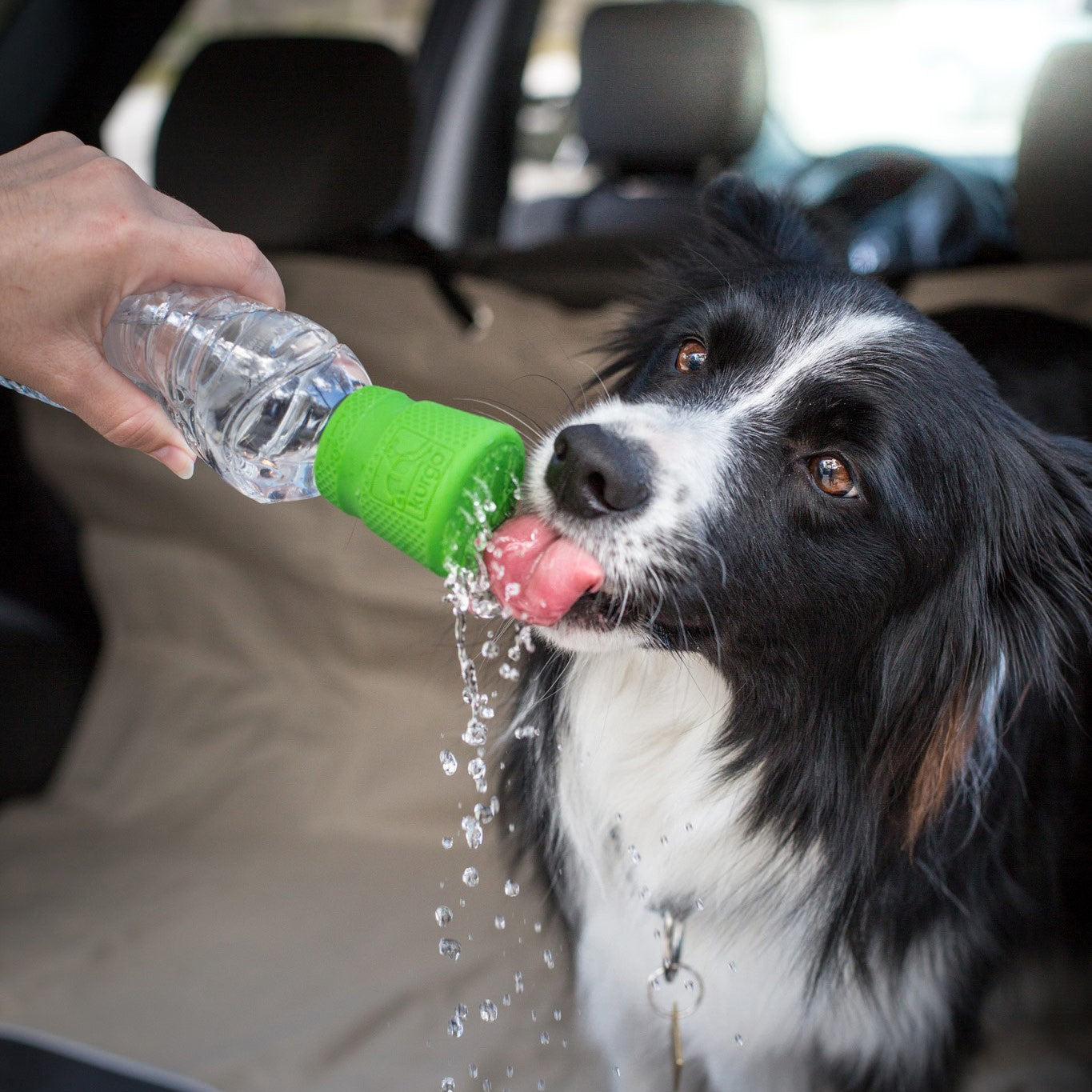 Bouchon Pommeau de douche Mud Dog Shower
