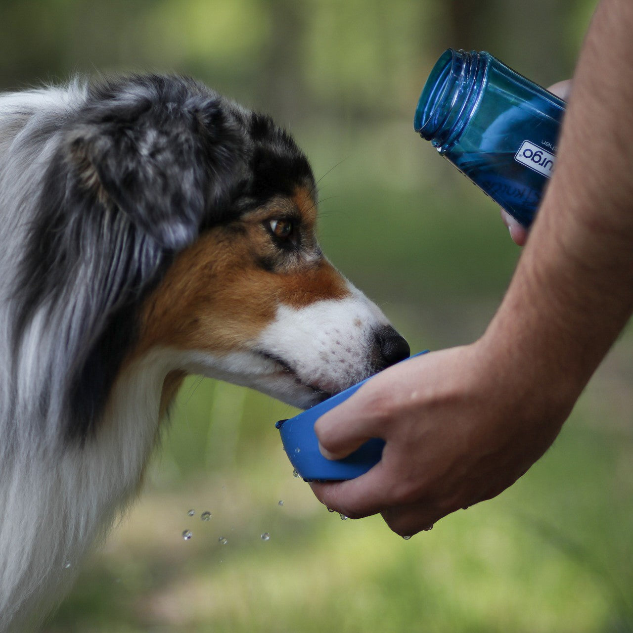 Gourde Bottle & Bowl