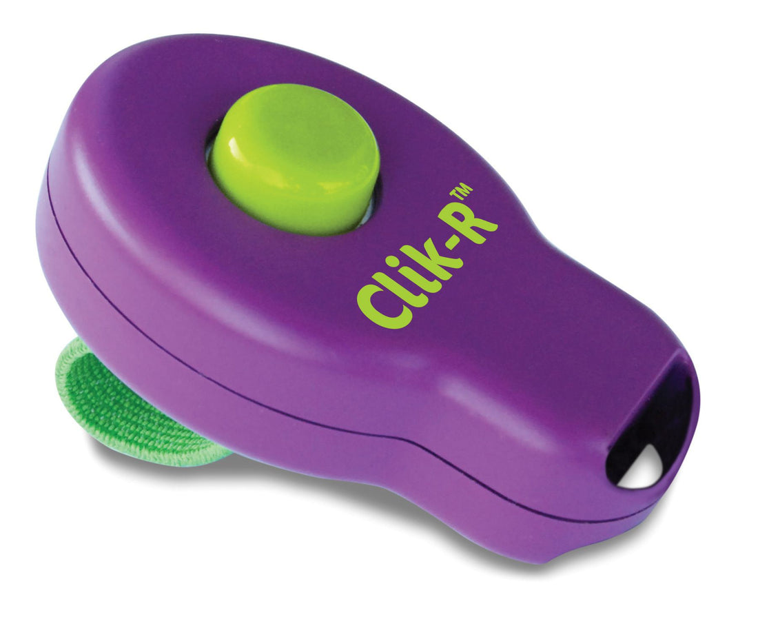 Clicker de dressage Clik&
