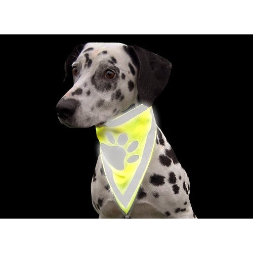 Bandana réfléchissant