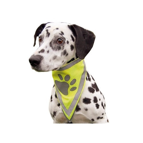 Bandana réfléchissant