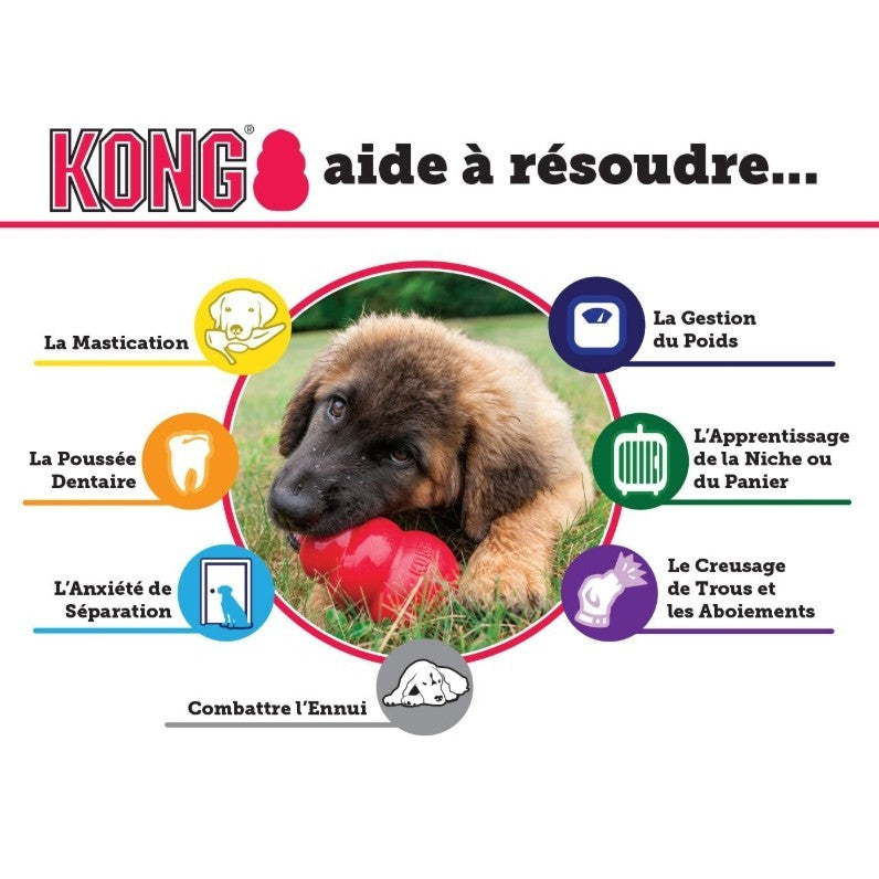 Jouet pour chiot KONG