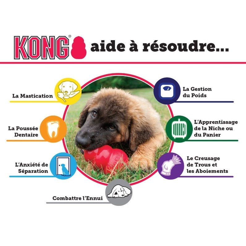 Jouet Extreme KONG - Jouet à mâcher ultra-résistant pour chien