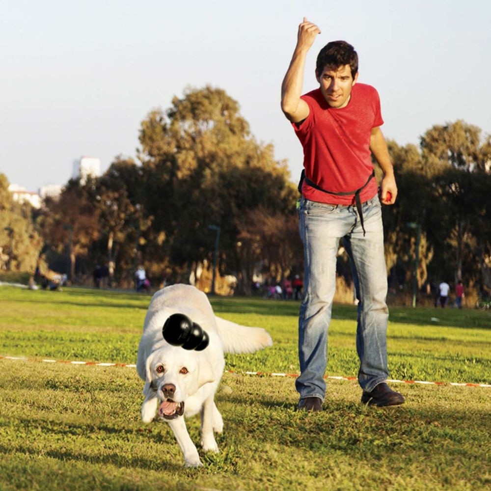 Jouet Extreme KONG - Jouet à mâcher ultra-résistant pour chien
