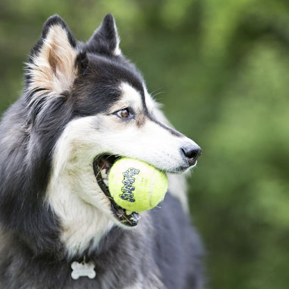Balle Air Squeaker