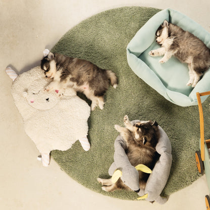 Coussin Welcome
