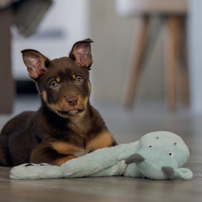 Peluche Dragon Puppy