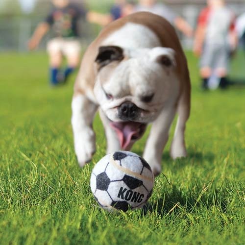 Trio de balles Sport KONG