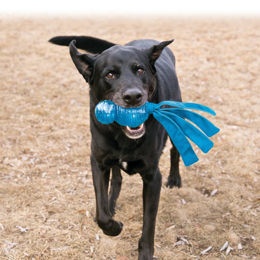 Jouet Wubba Comet KONG